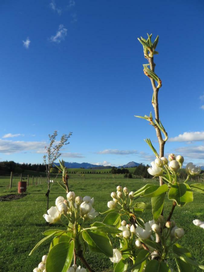 Quiet Studio In Paradise Wanaka Luaran gambar